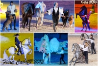 Collage-2012-11-11-0002.jpg