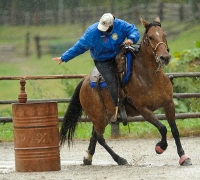 2011-09-18-2010