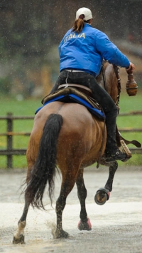 2011-09-18-2015